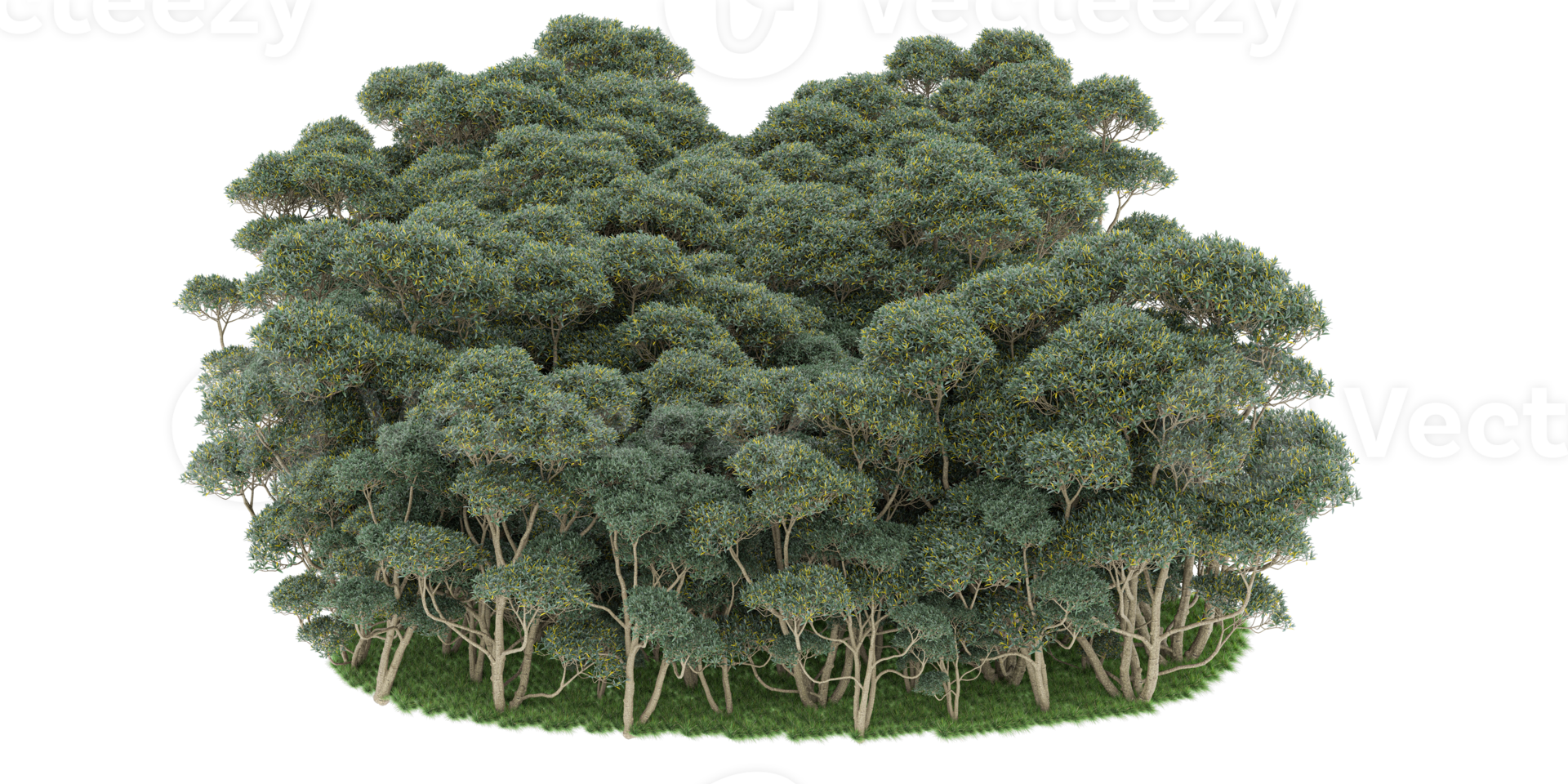 floresta realista isolada em fundo transparente. renderização 3D - ilustração png