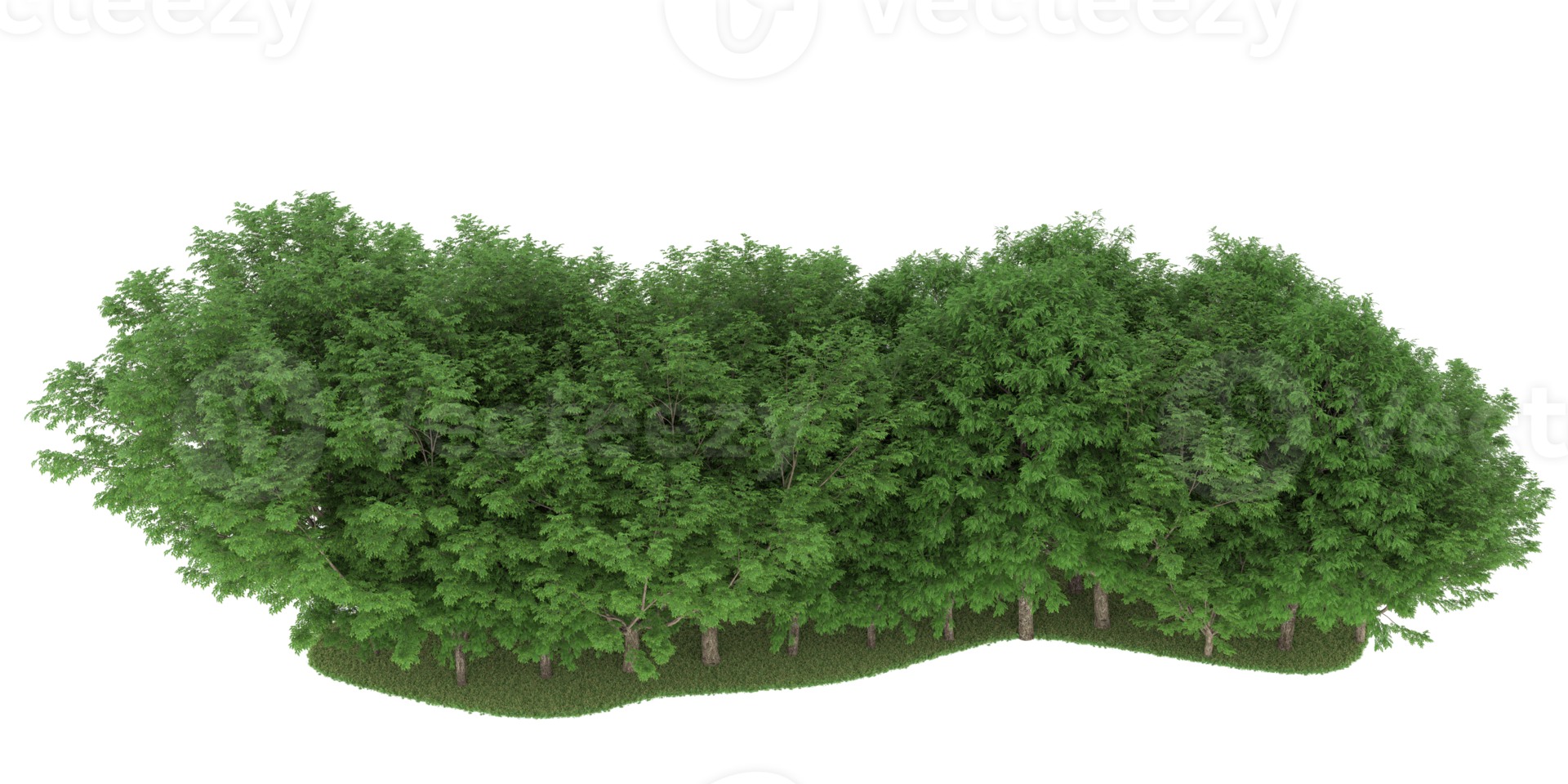 Realistic forest isolated on transparent background. 3d rendering - illustration png