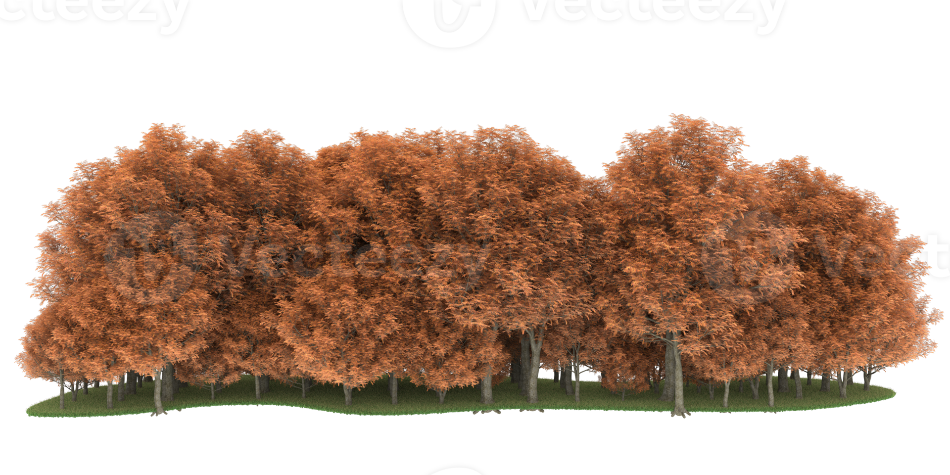 Realistic forest isolated on transparent background. 3d rendering - illustration png