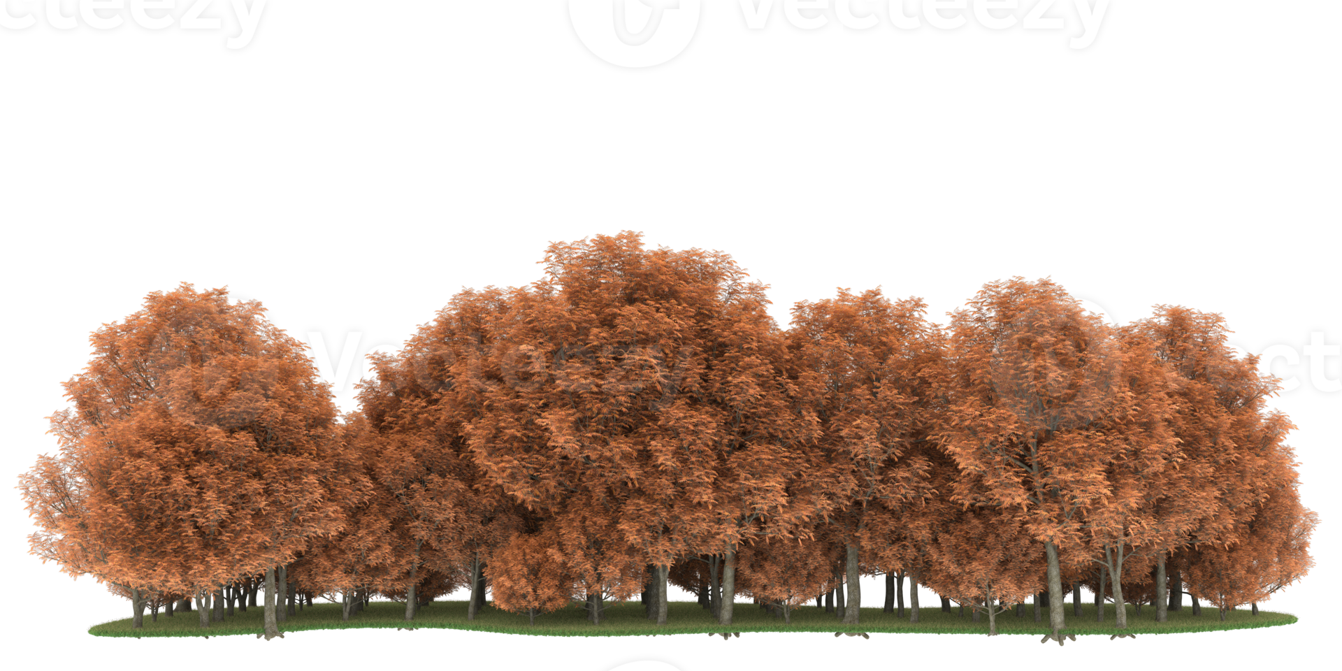 Realistic forest isolated on transparent background. 3d rendering - illustration png