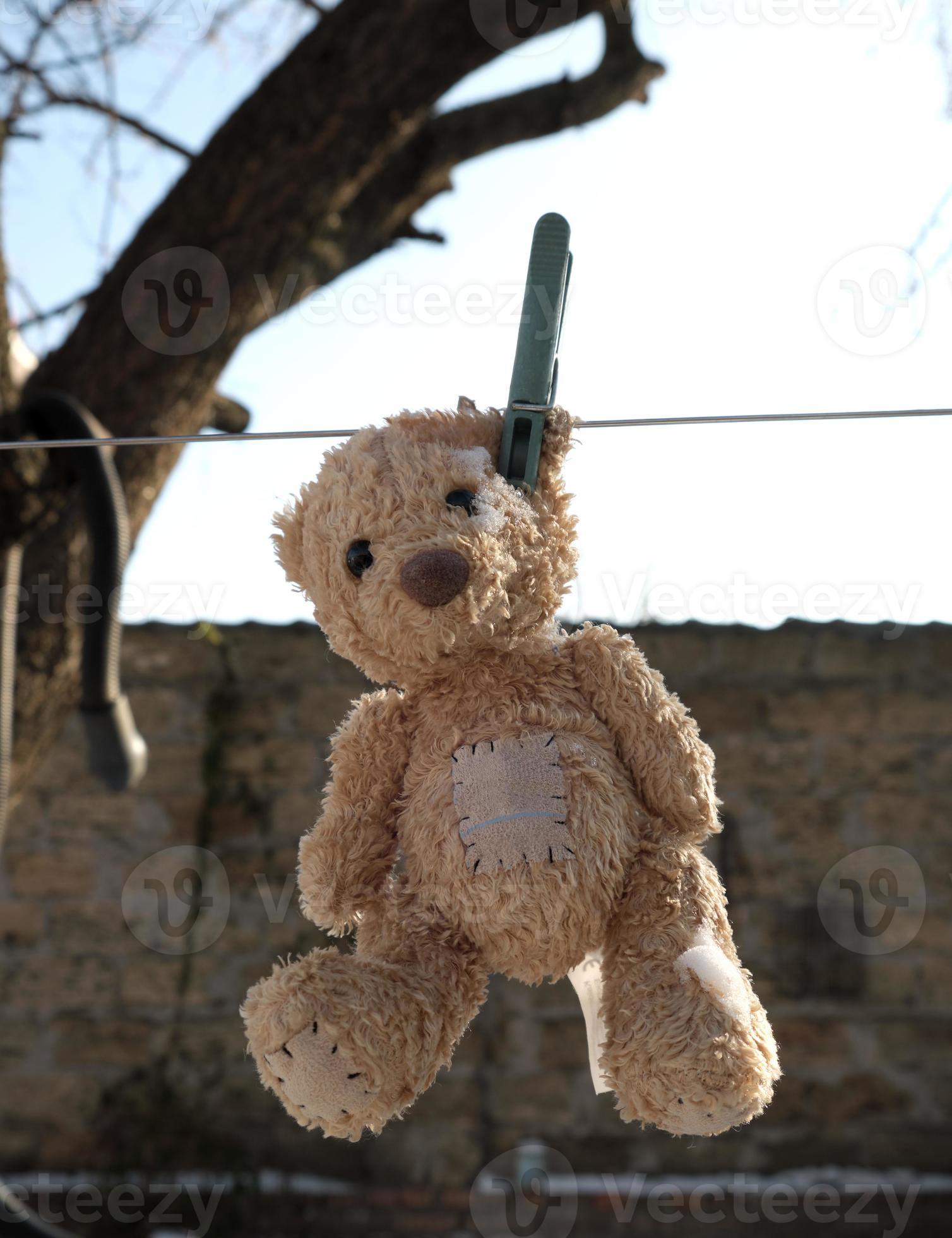 hanging teddy bear
