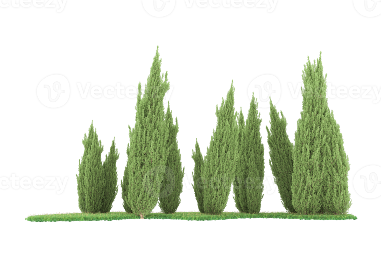 Realistic forest isolated on transparent background. 3d rendering - illustration png