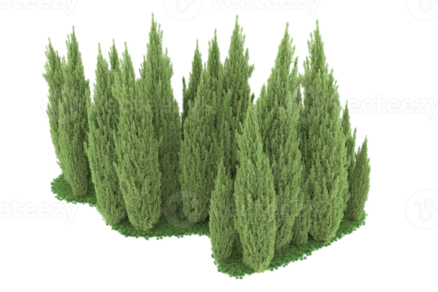 Realistic forest isolated on transparent background. 3d rendering - illustration png