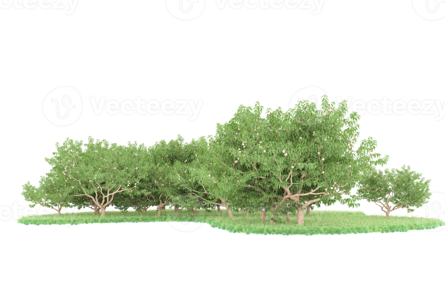 Realistic forest isolated on transparent background. 3d rendering - illustration png