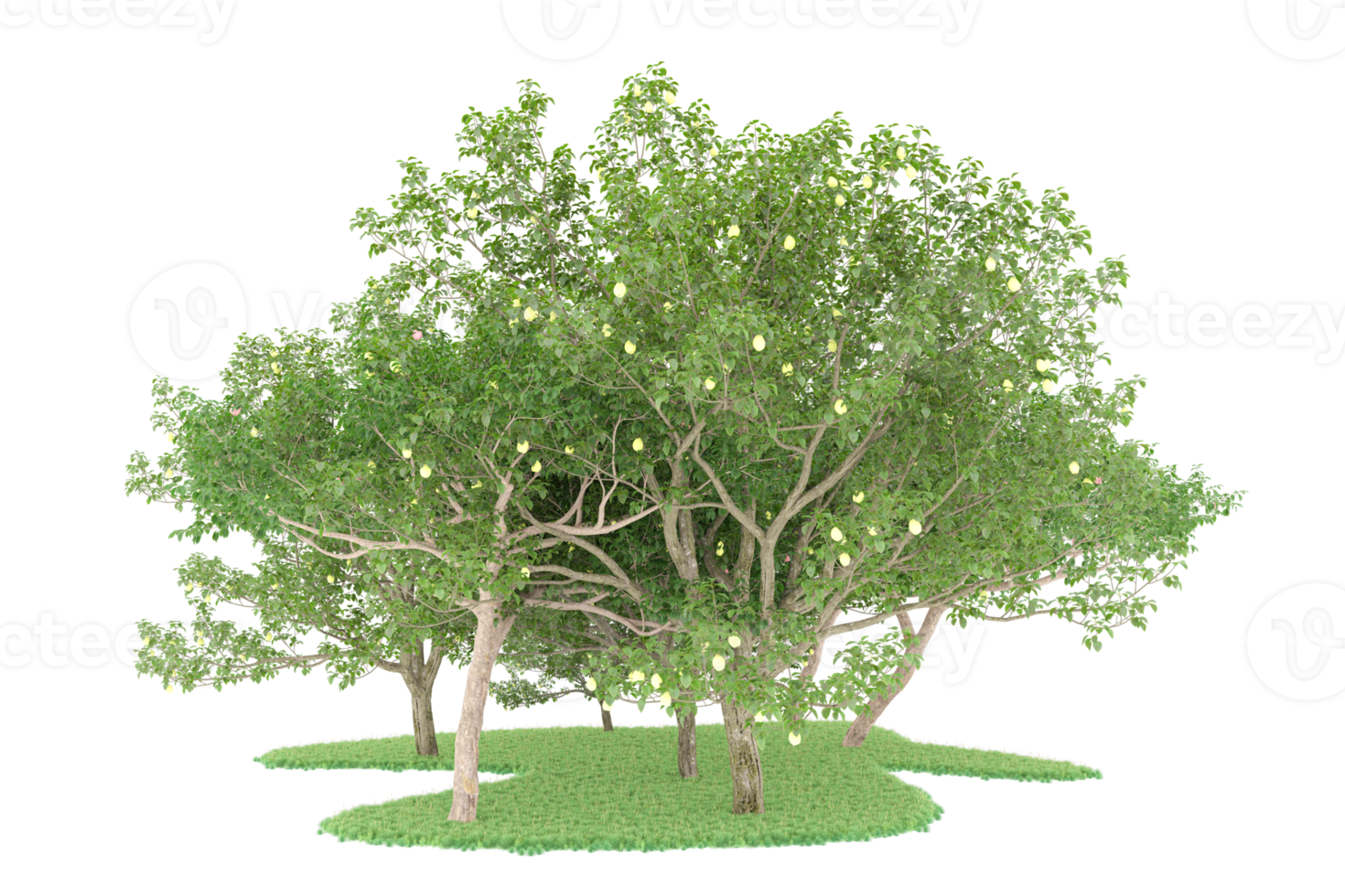 Realistic forest isolated on transparent background. 3d rendering - illustration png