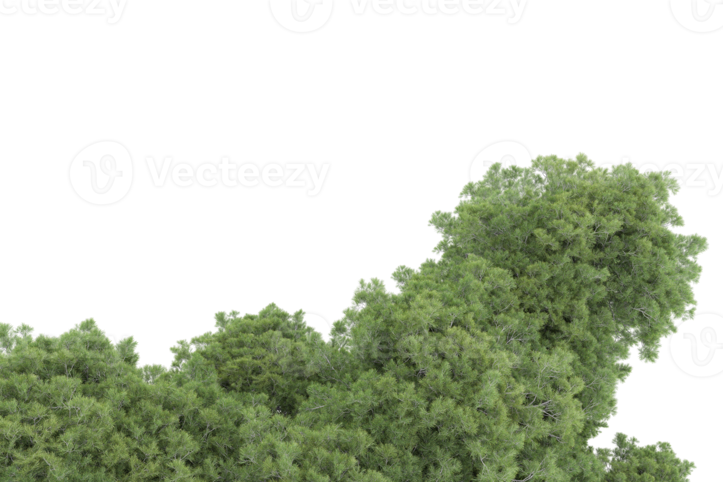 Realistic forest isolated on transparent background. 3d rendering - illustration png