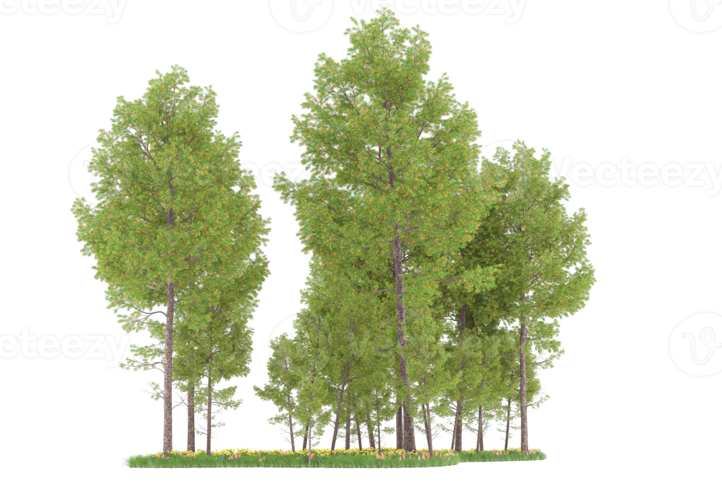 Realistic forest isolated on transparent background. 3d rendering - illustration png