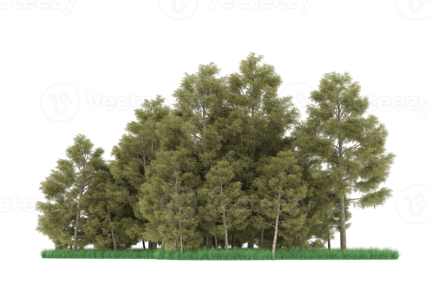 Realistic forest isolated on transparent background. 3d rendering - illustration png