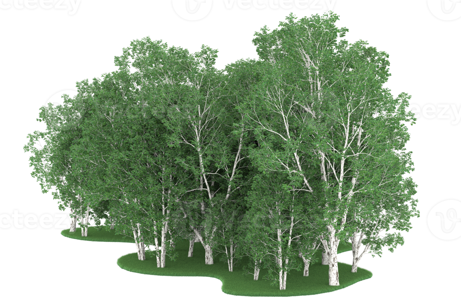 Realistic forest isolated on transparent background. 3d rendering - illustration png