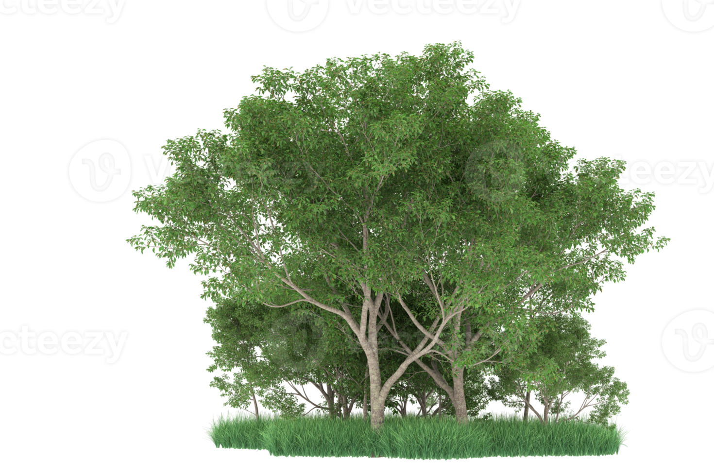 Realistic forest isolated on transparent background. 3d rendering - illustration png