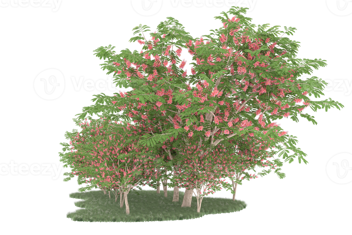 Realistic forest isolated on transparent background. 3d rendering - illustration png
