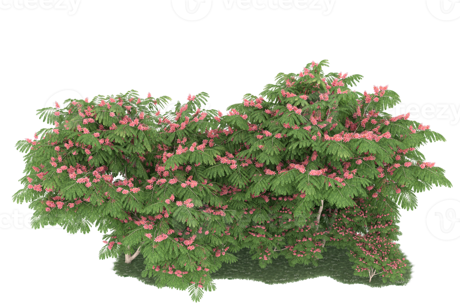 Realistic forest isolated on transparent background. 3d rendering - illustration png