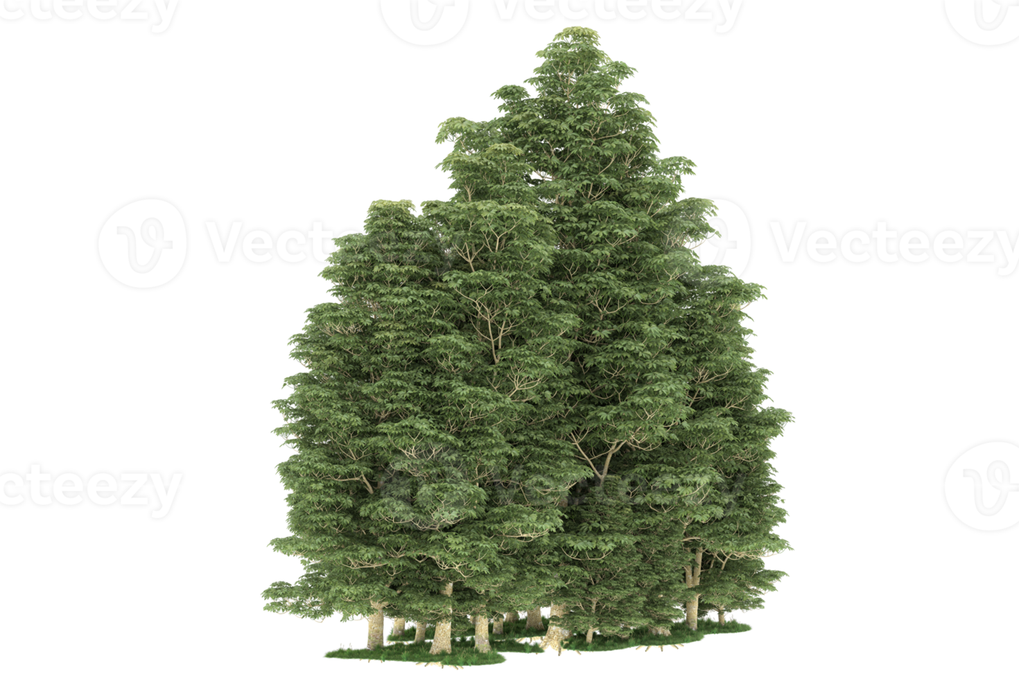 Realistic forest isolated on transparent background. 3d rendering - illustration png