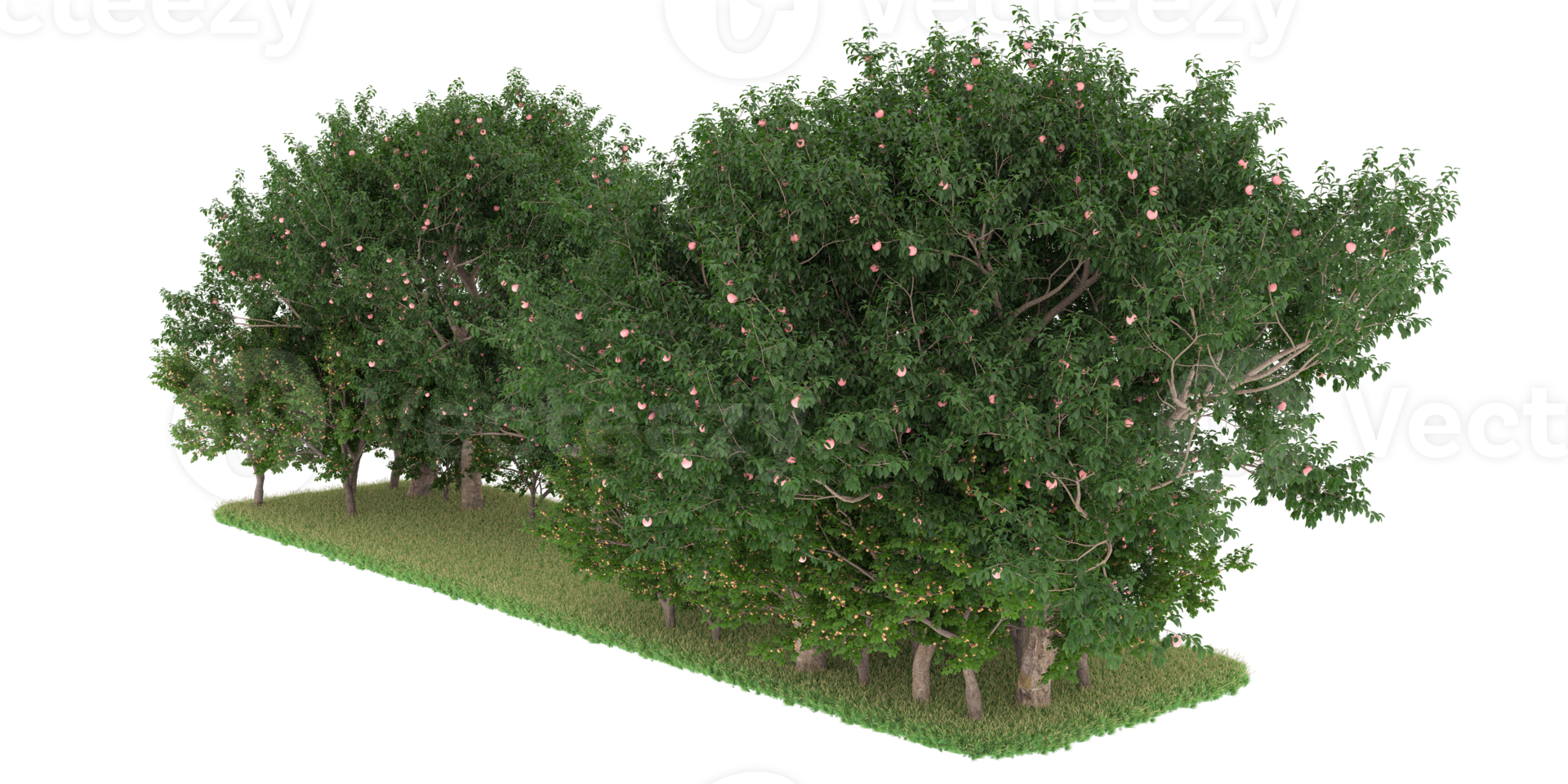 Realistic forest isolated on transparent background. 3d rendering - illustration png