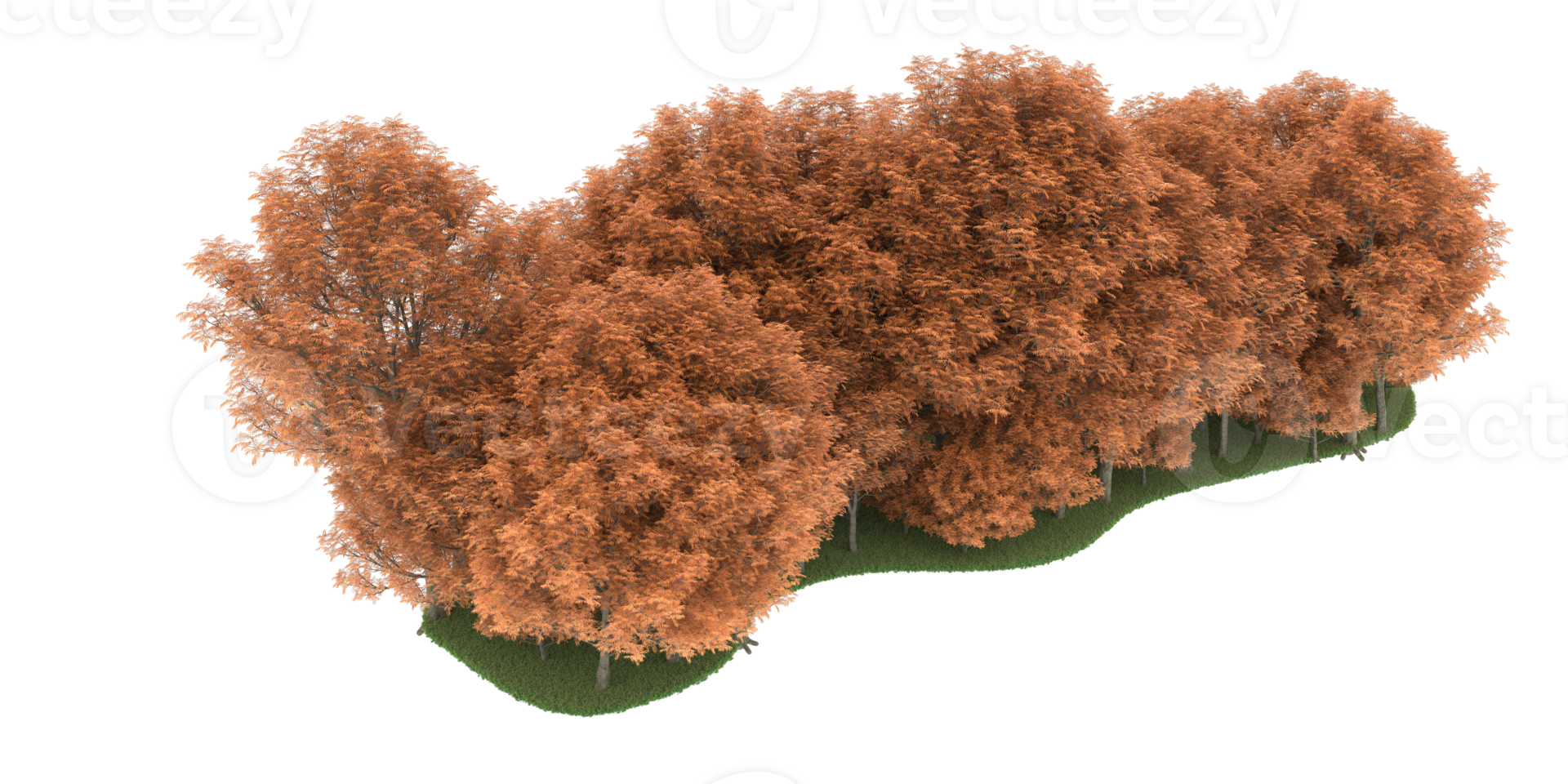 Realistic forest isolated on transparent background. 3d rendering - illustration png