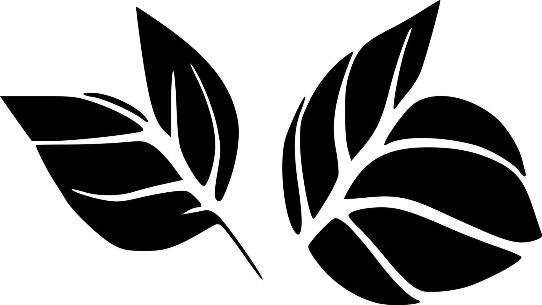 vector illustration of leaf shape