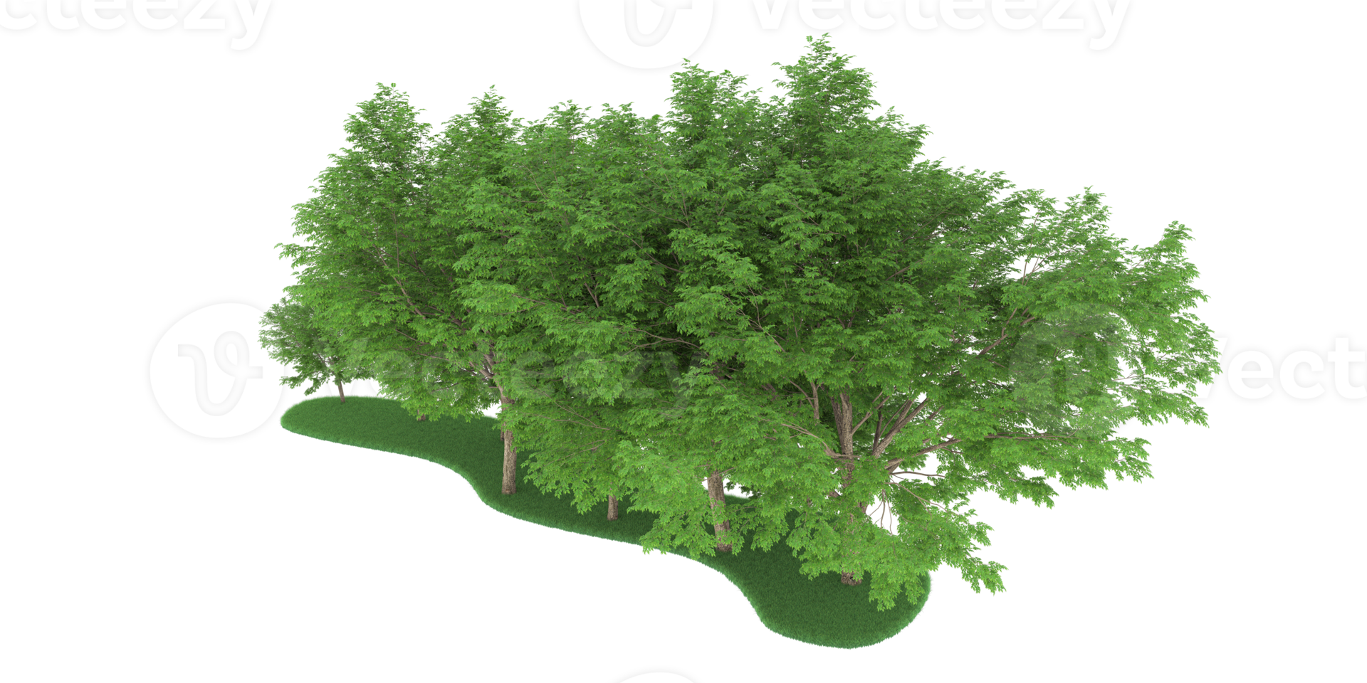 Realistic forest isolated on transparent background. 3d rendering - illustration png