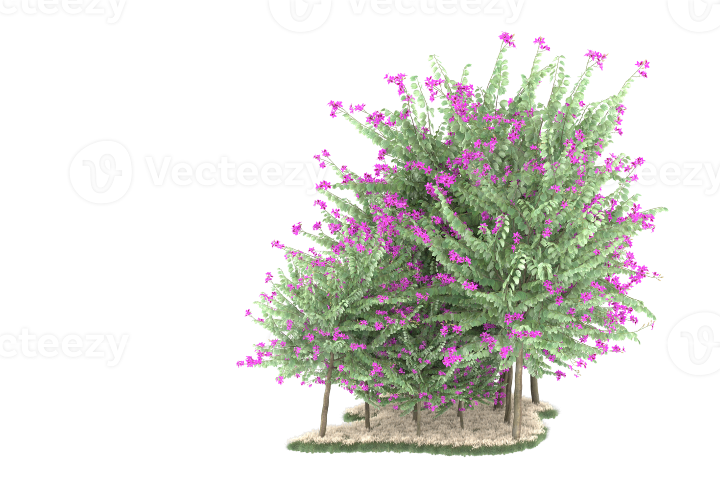 Realistic forest isolated on transparent background. 3d rendering - illustration png