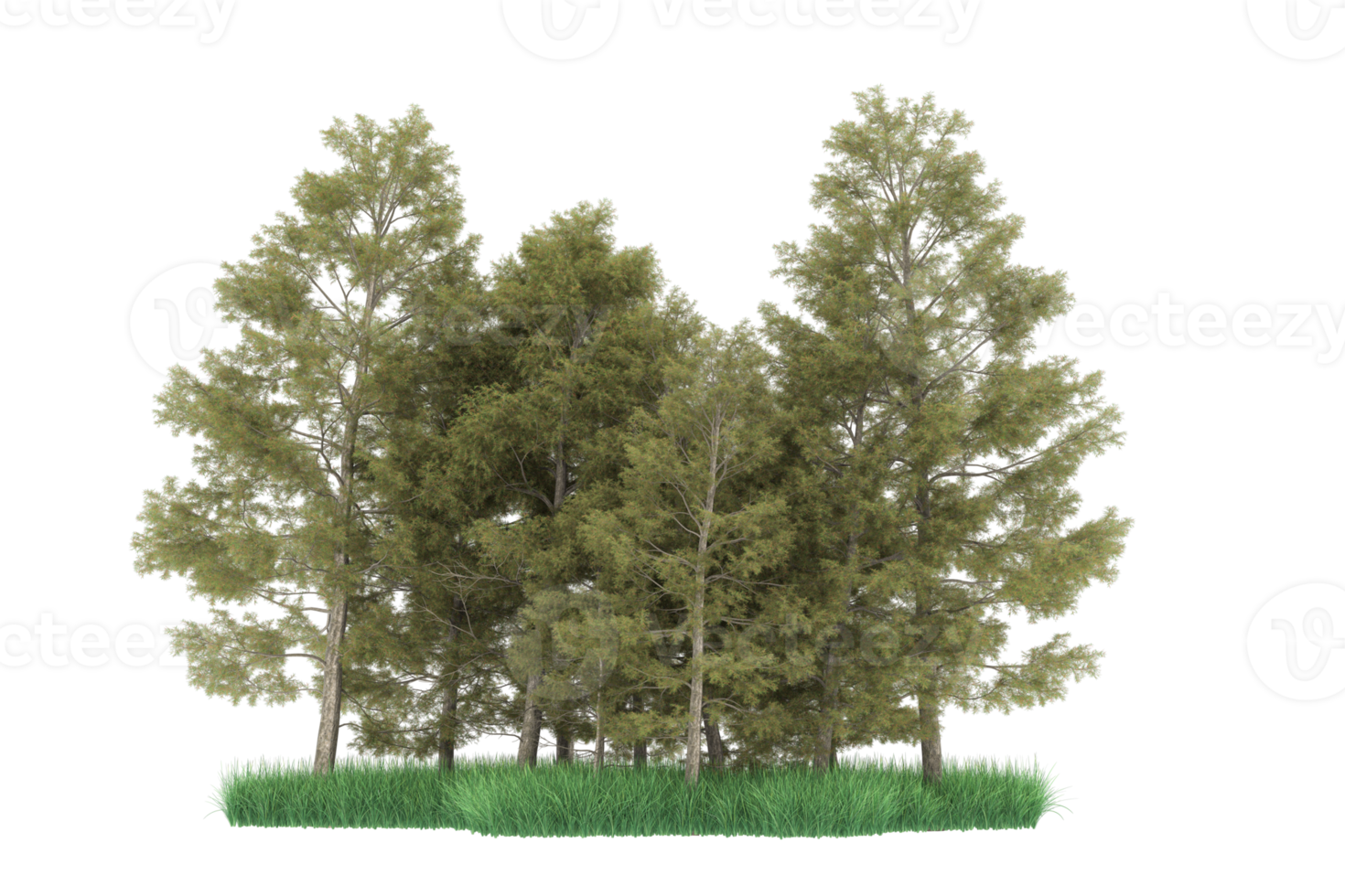 Realistic forest isolated on transparent background. 3d rendering - illustration png