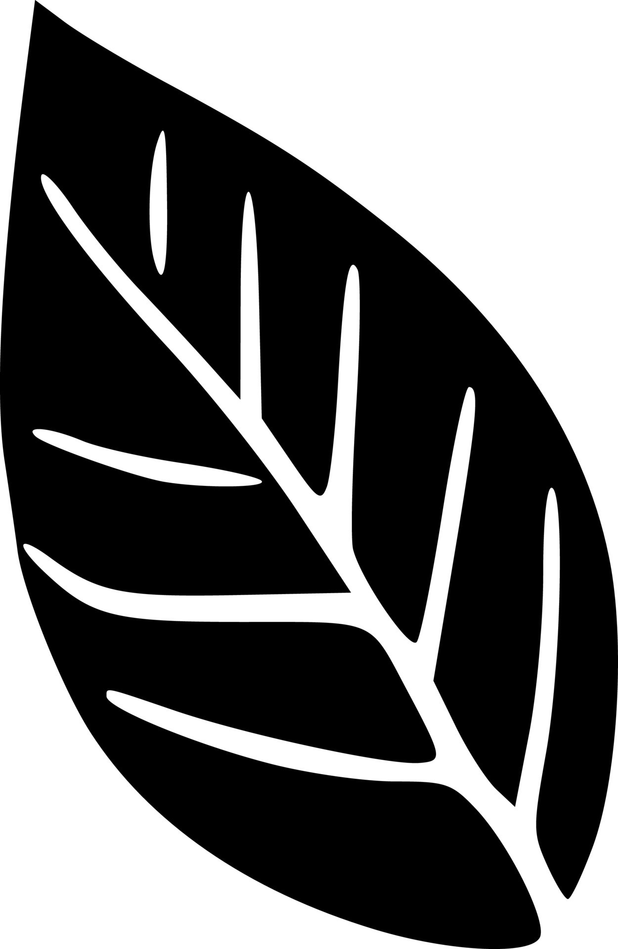 vector illustration of leaf shape 19156322 Vector Art at Vecteezy