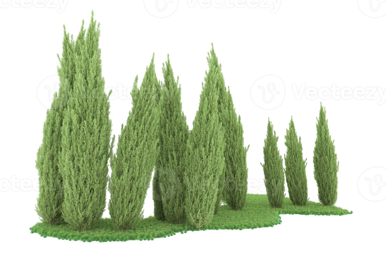 Realistic forest isolated on transparent background. 3d rendering - illustration png