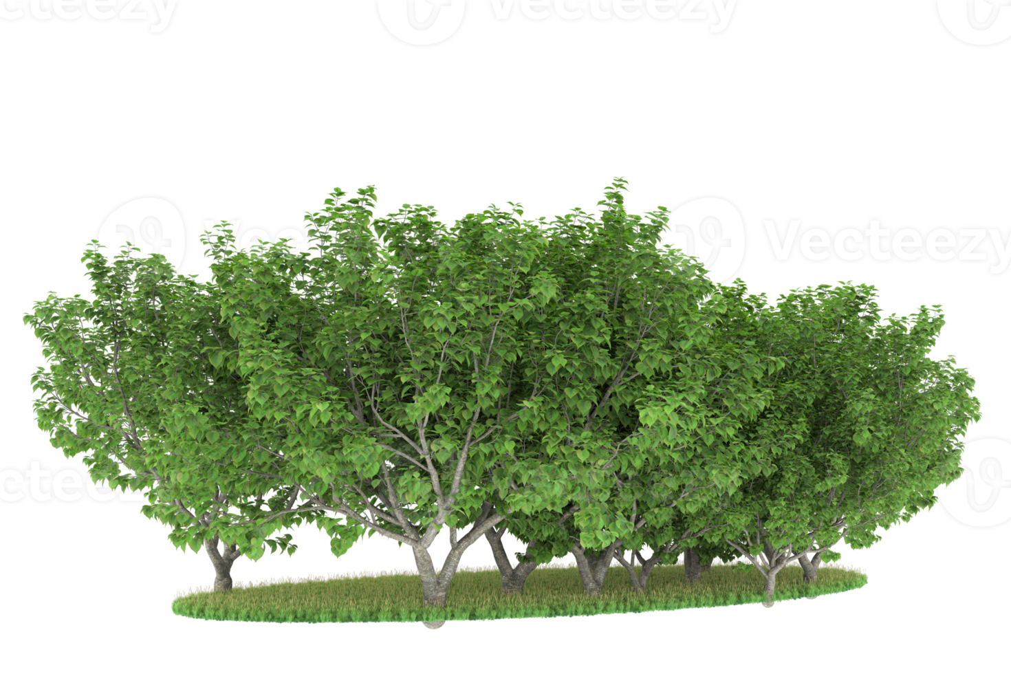 Realistic forest isolated on transparent background. 3d rendering - illustration png