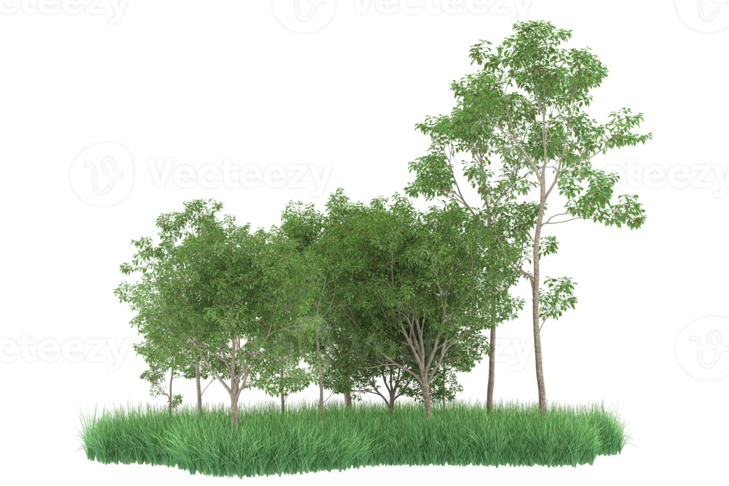 Realistic forest isolated on transparent background. 3d rendering - illustration png