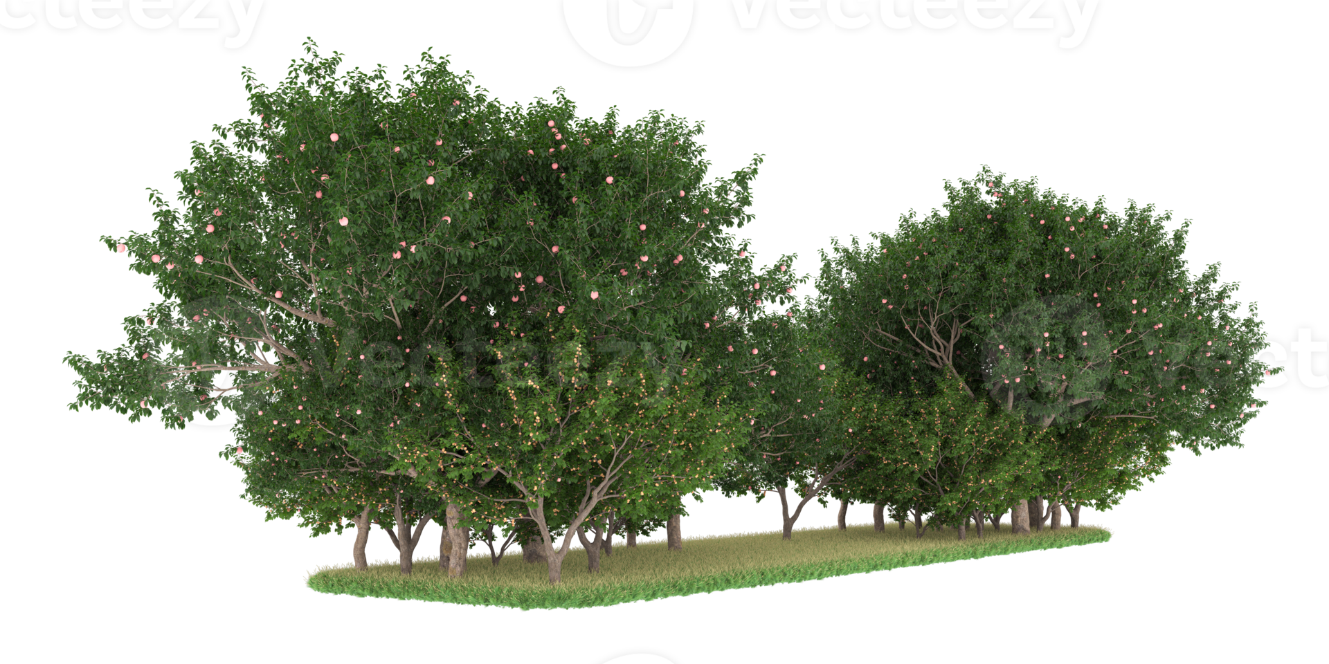 Realistic forest isolated on transparent background. 3d rendering - illustration png