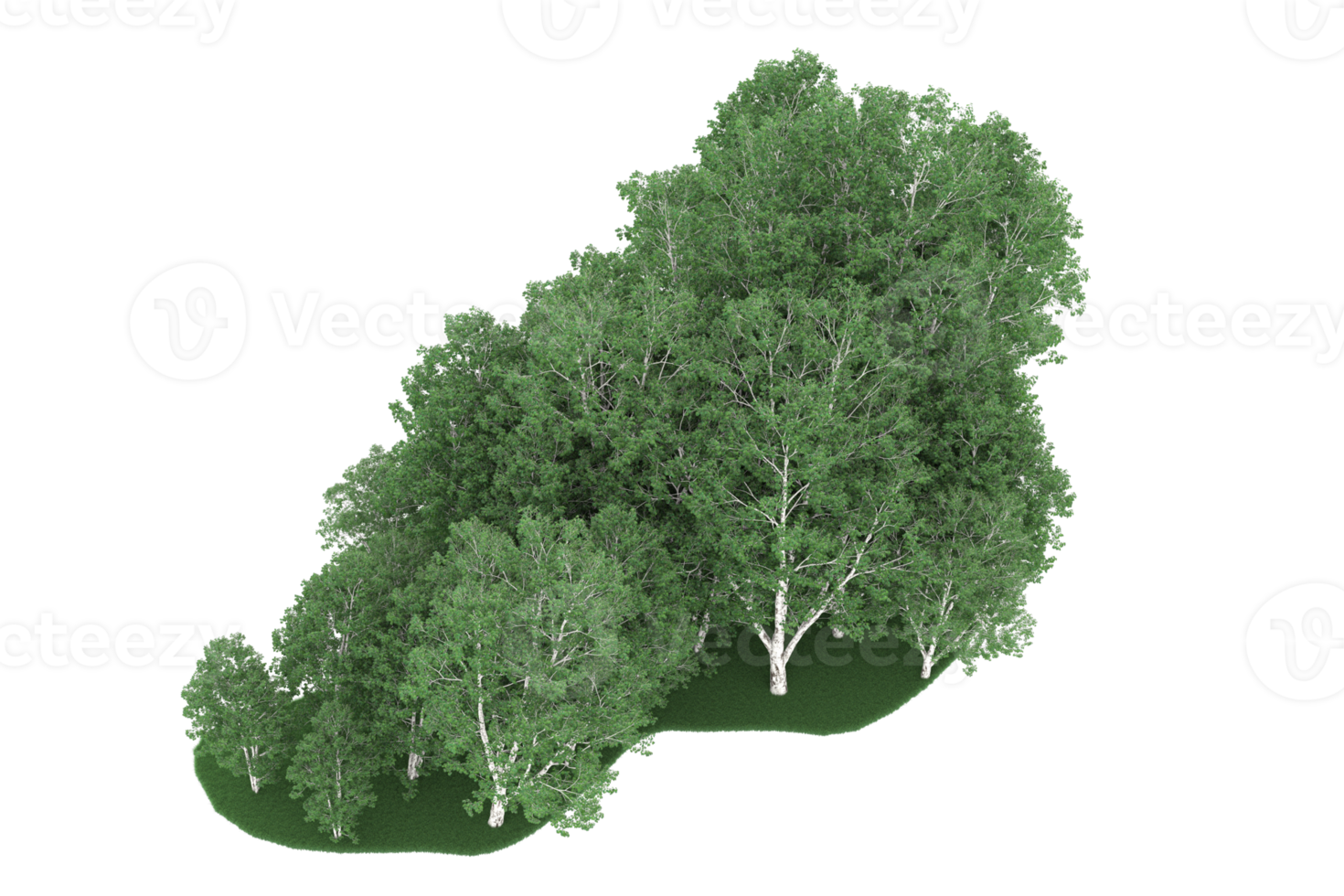 realistischer wald lokalisiert auf transparentem hintergrund. 3D-Rendering - Abbildung png