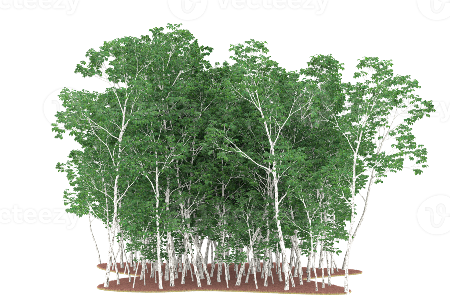 Realistic forest isolated on transparent background. 3d rendering - illustration png