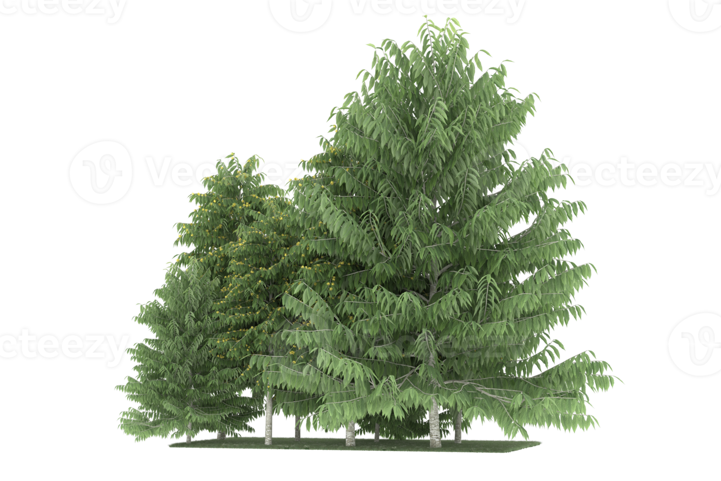 Realistic forest isolated on transparent background. 3d rendering - illustration png