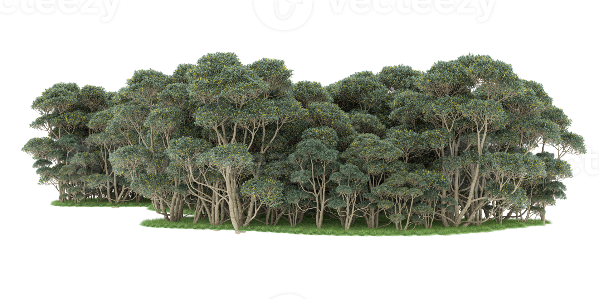 Realistic forest isolated on transparent background. 3d rendering - illustration png