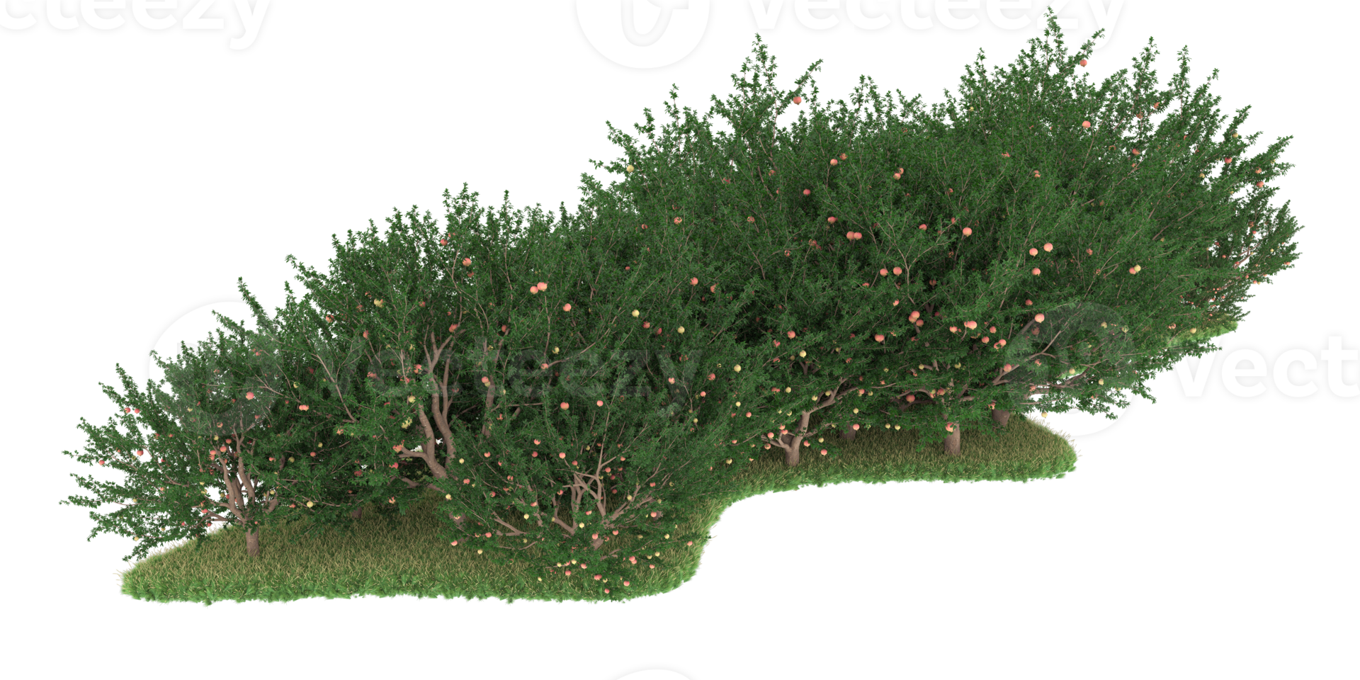 Realistic forest isolated on transparent background. 3d rendering - illustration png