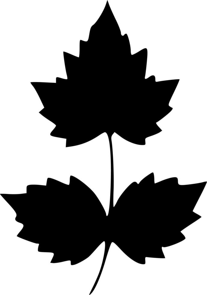 vector illustration of leaf shape