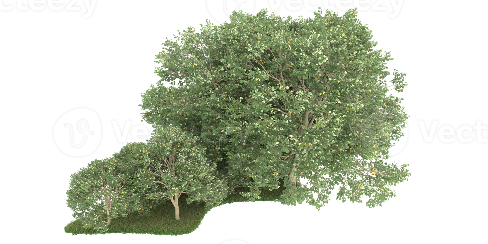 Realistic forest isolated on transparent background. 3d rendering - illustration png