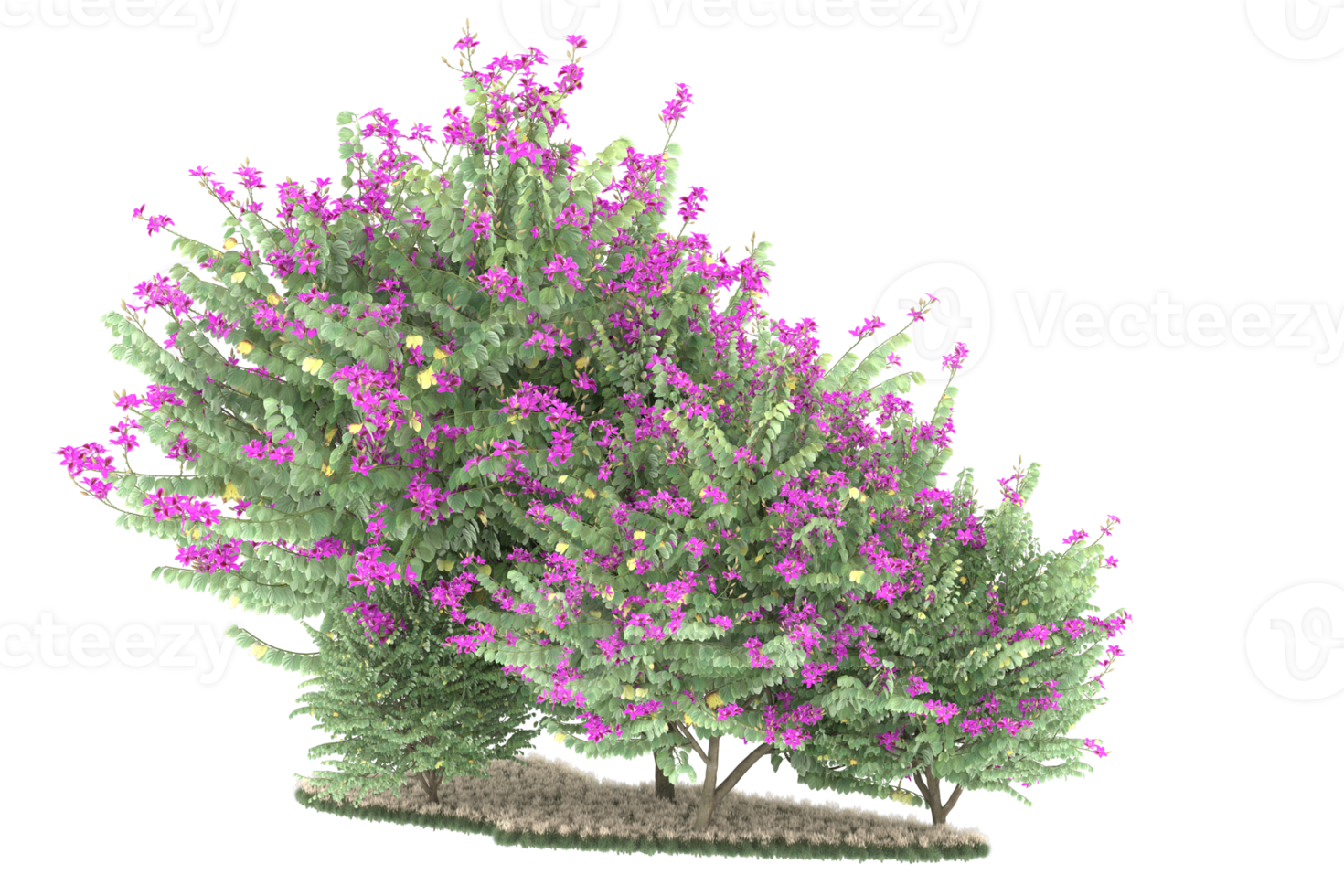 Realistic forest isolated on transparent background. 3d rendering - illustration png