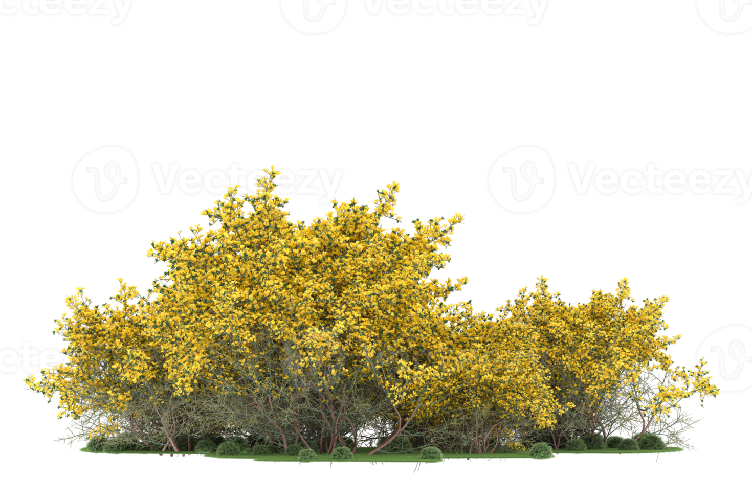 realistisk skog isolerat på transparent bakgrund. 3d tolkning - illustration png