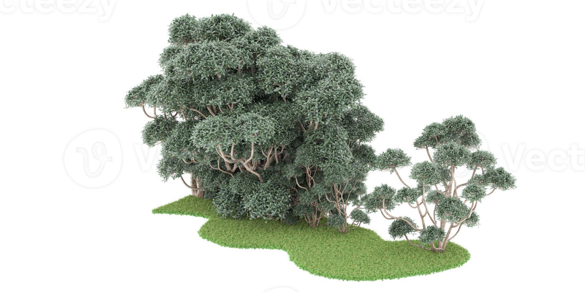 forêt réaliste isolée sur fond transparent. rendu 3d - illustration png