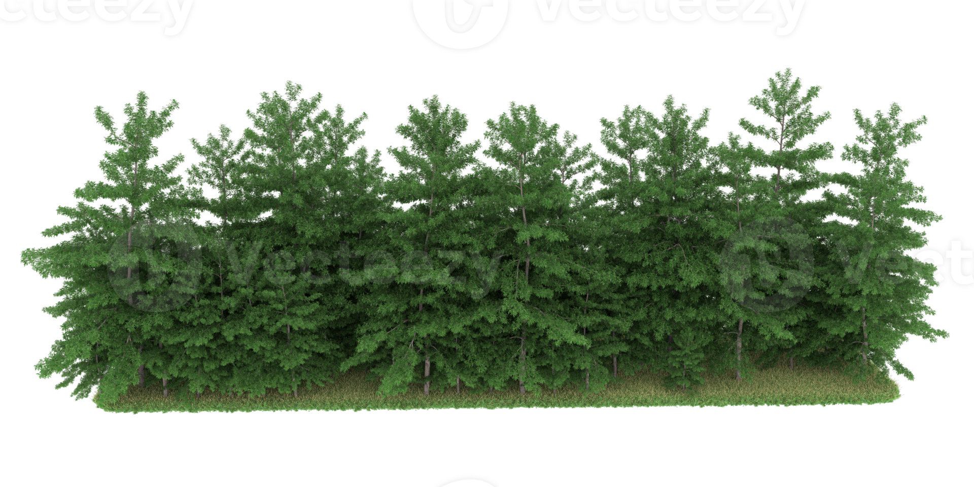 Realistic forest isolated on transparent background. 3d rendering - illustration png