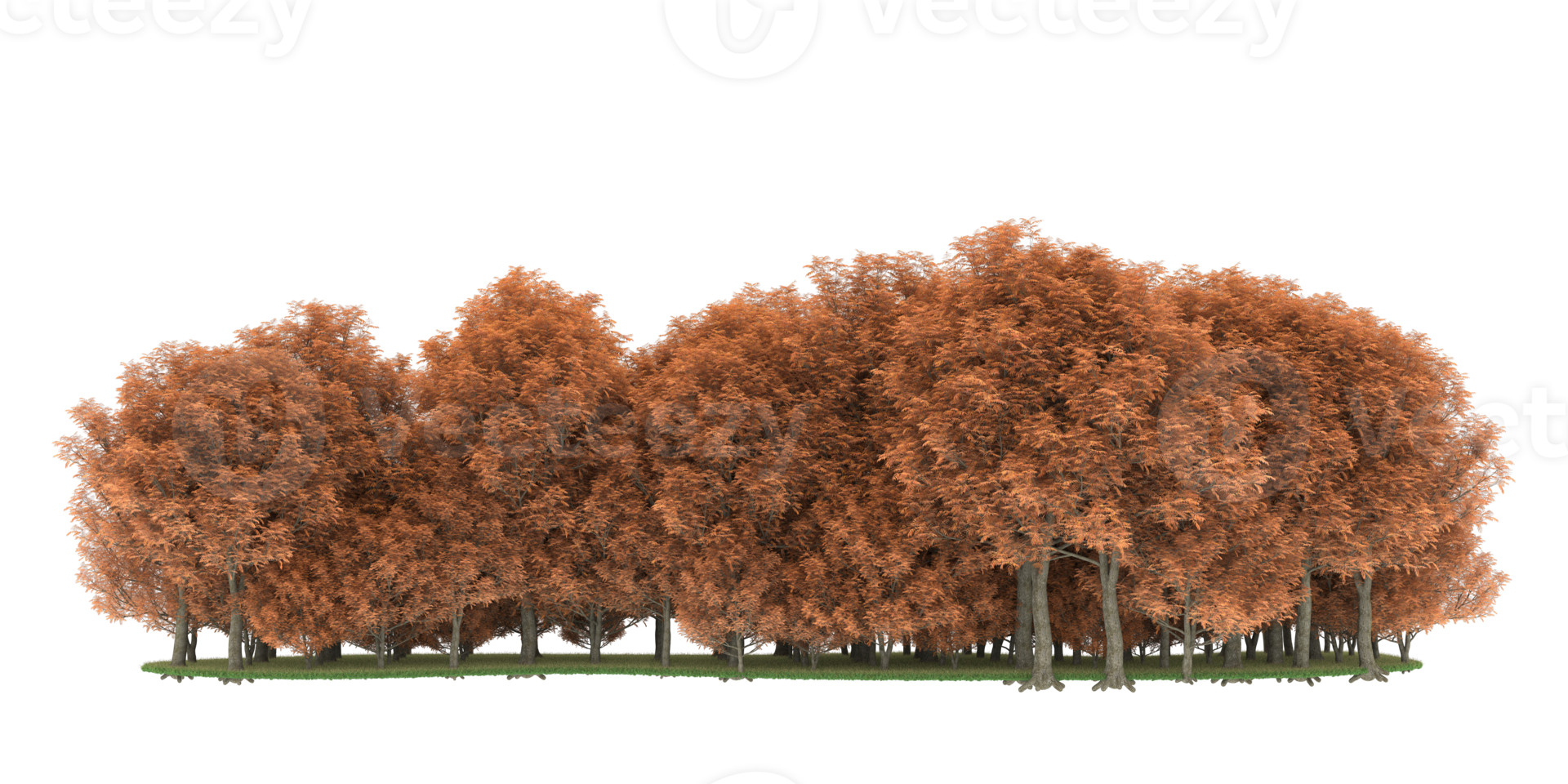 Realistic forest isolated on transparent background. 3d rendering - illustration png
