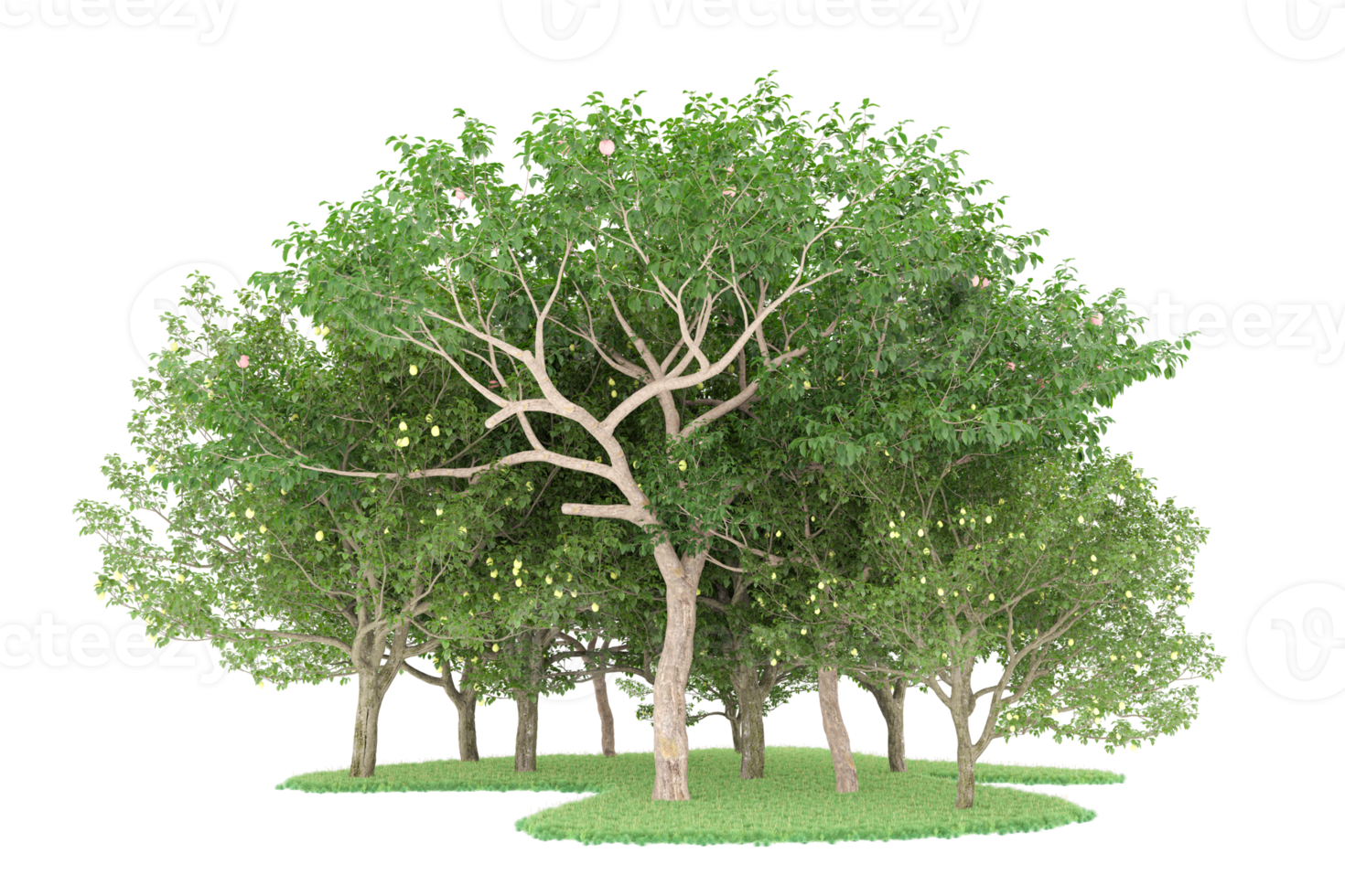 Realistic forest isolated on transparent background. 3d rendering - illustration png