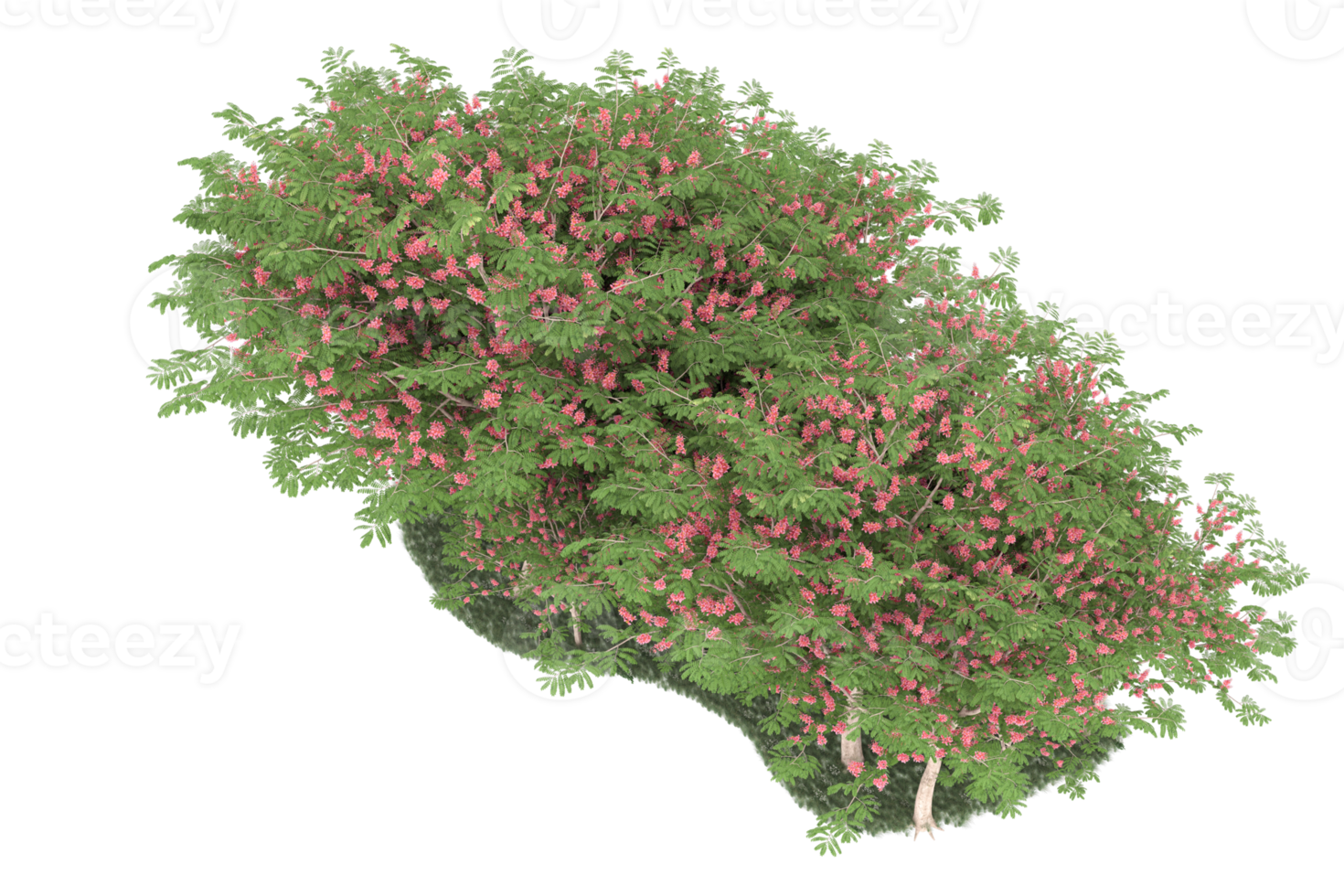 Realistic forest isolated on transparent background. 3d rendering - illustration png