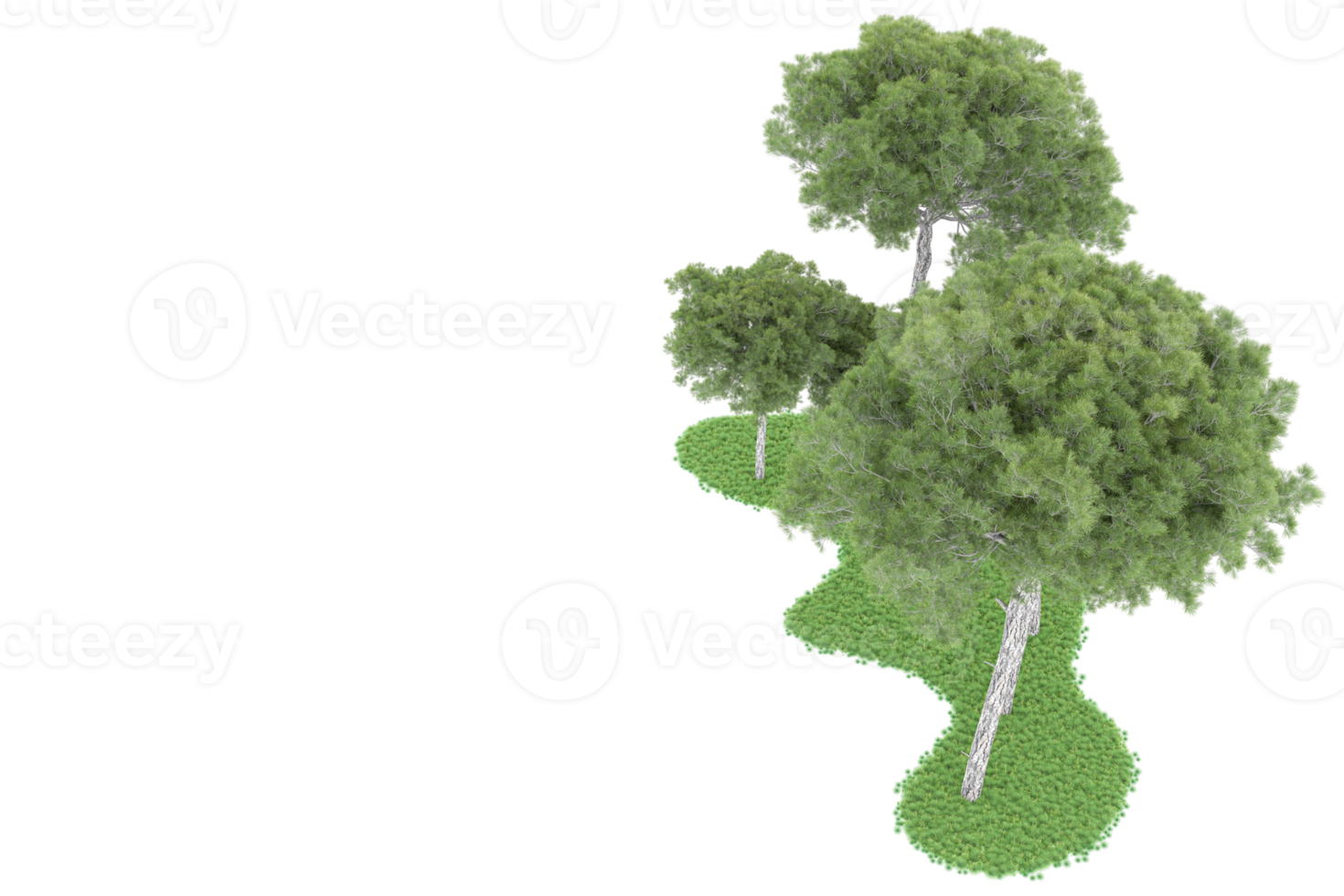 realistico foresta isolato su trasparente sfondo. 3d interpretazione - illustrazione png