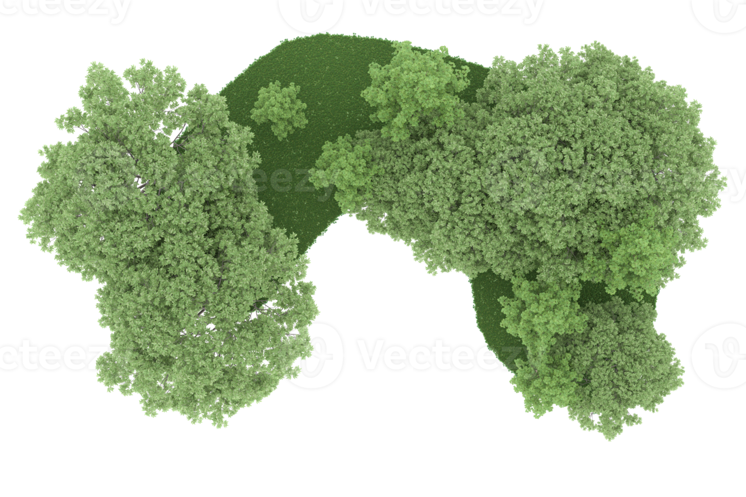 floresta realista isolada em fundo transparente. renderização 3D - ilustração png