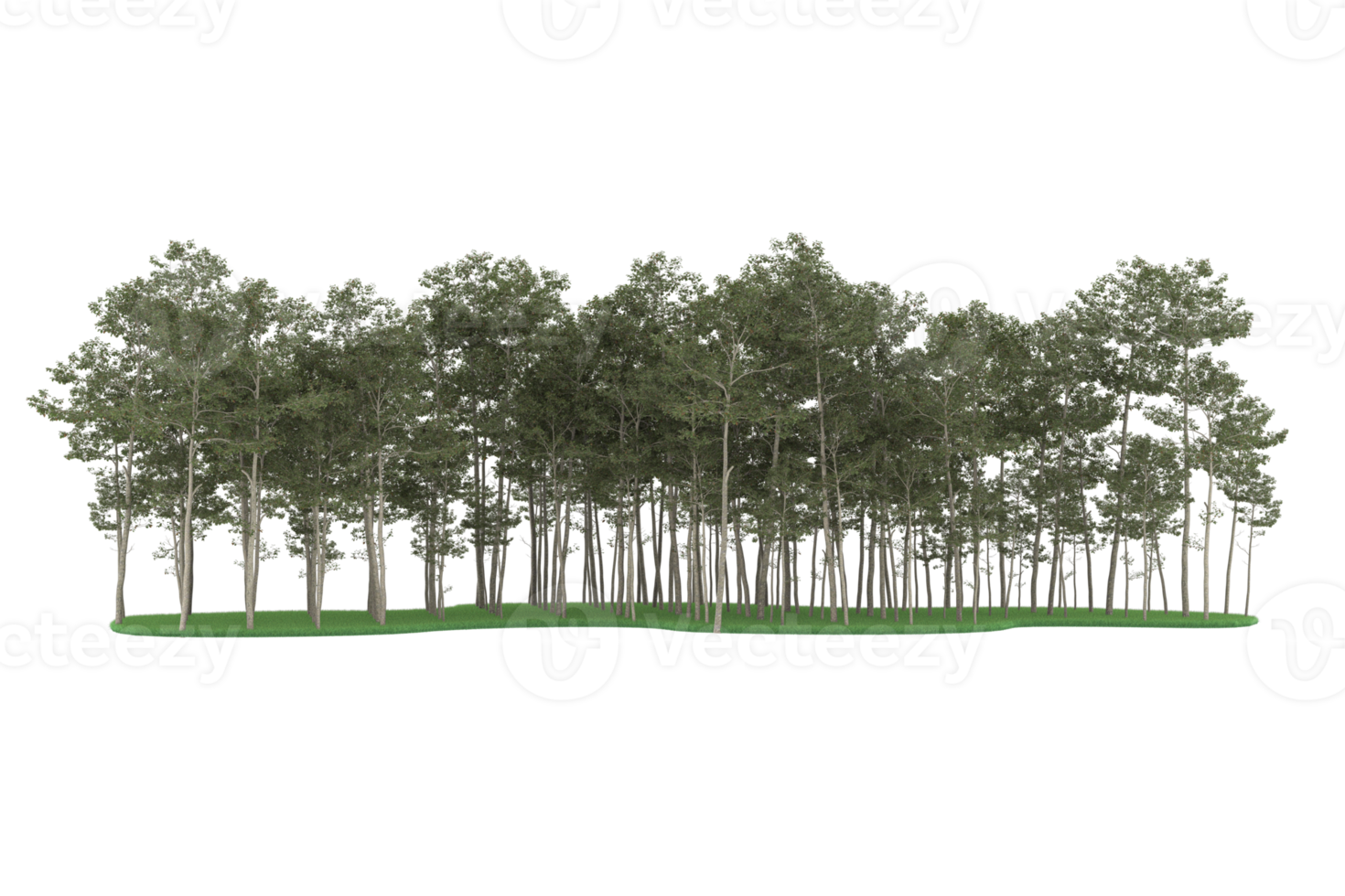 Realistic forest isolated on transparent background. 3d rendering - illustration png