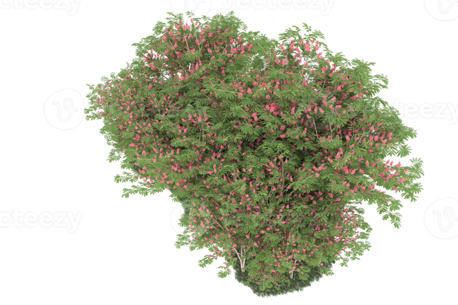 Realistic forest isolated on transparent background. 3d rendering - illustration png