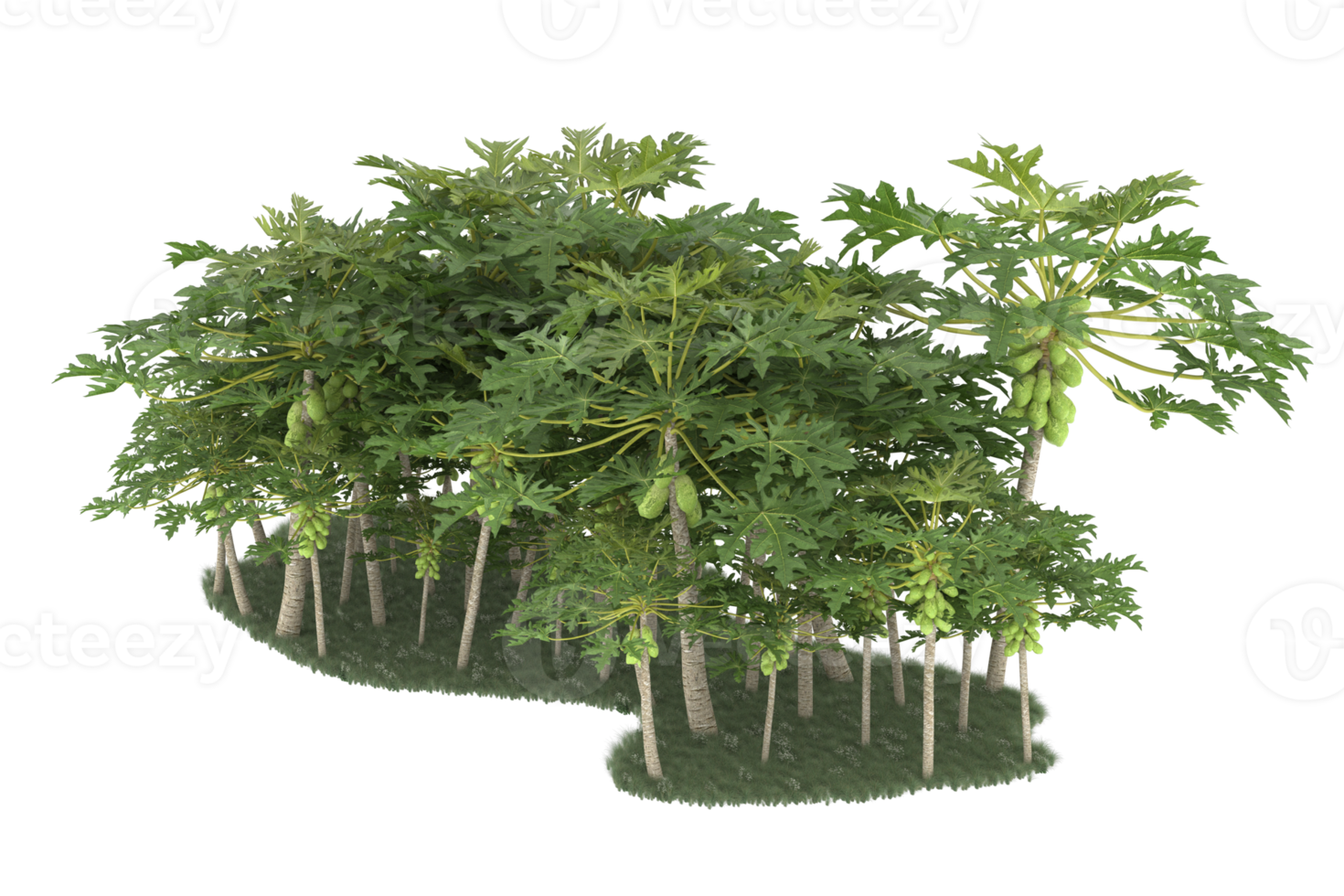 Realistic forest isolated on transparent background. 3d rendering - illustration png
