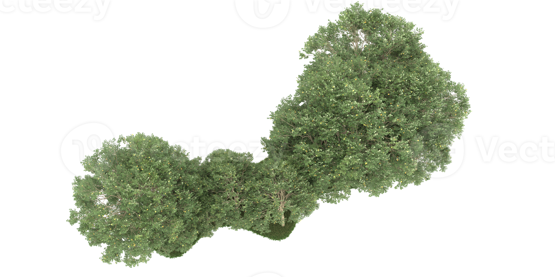 Realistic forest isolated on transparent background. 3d rendering - illustration png
