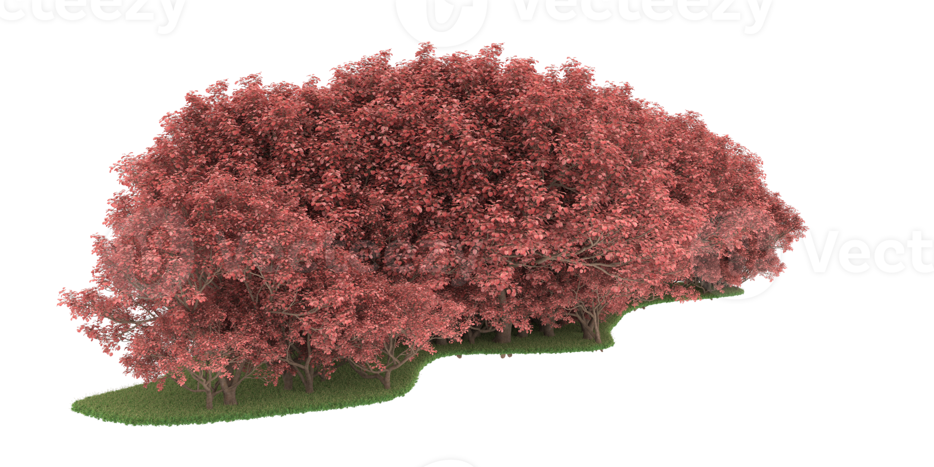 Realistic forest isolated on transparent background. 3d rendering - illustration png