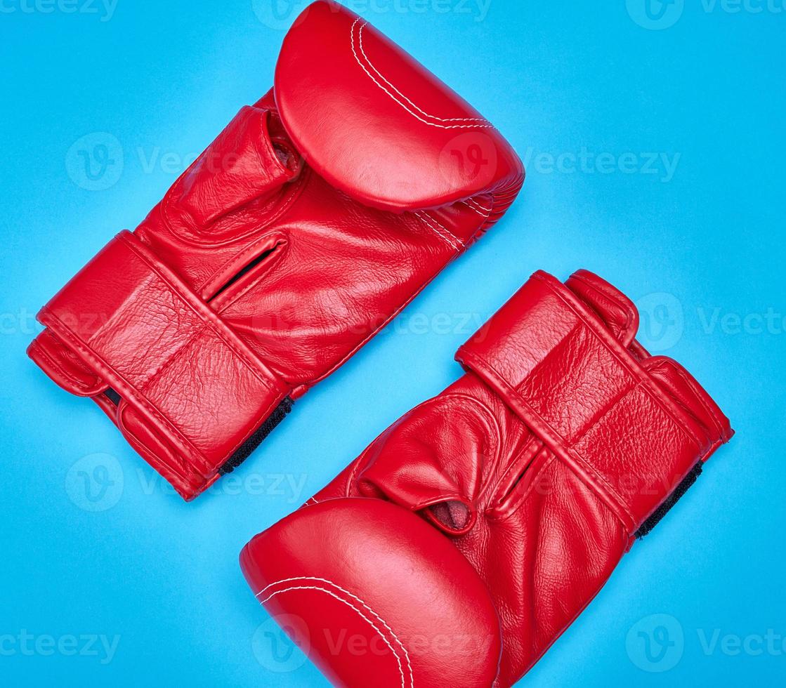 pair of red leather boxing gloves on a blue background photo